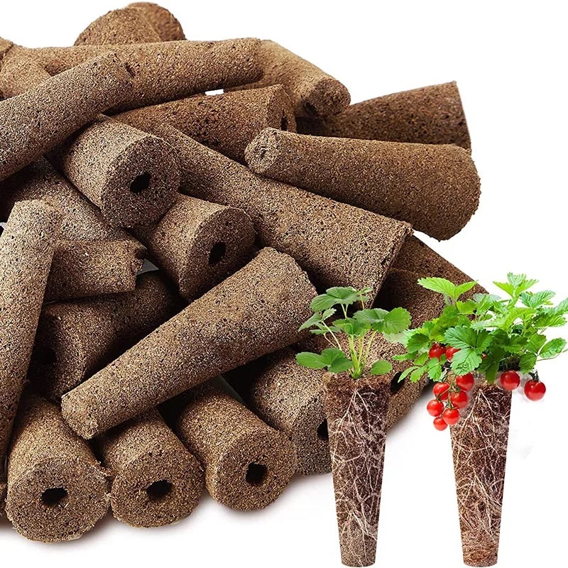 Net Pot 3 Inch - استبدال إسفنج زراعة البذور ، إسفنج