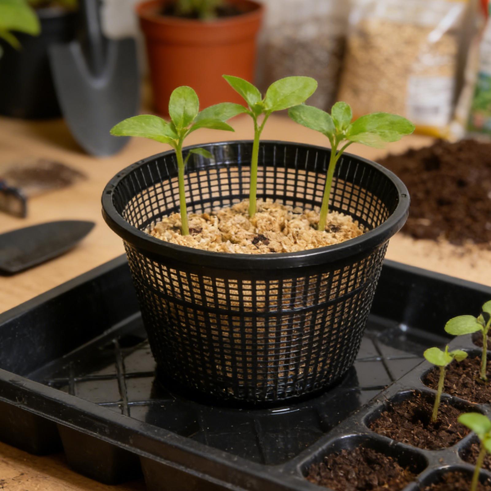 Net Pot 3 Inch - أواني شبكية قابلة لإعادة الاستخدام مقاس