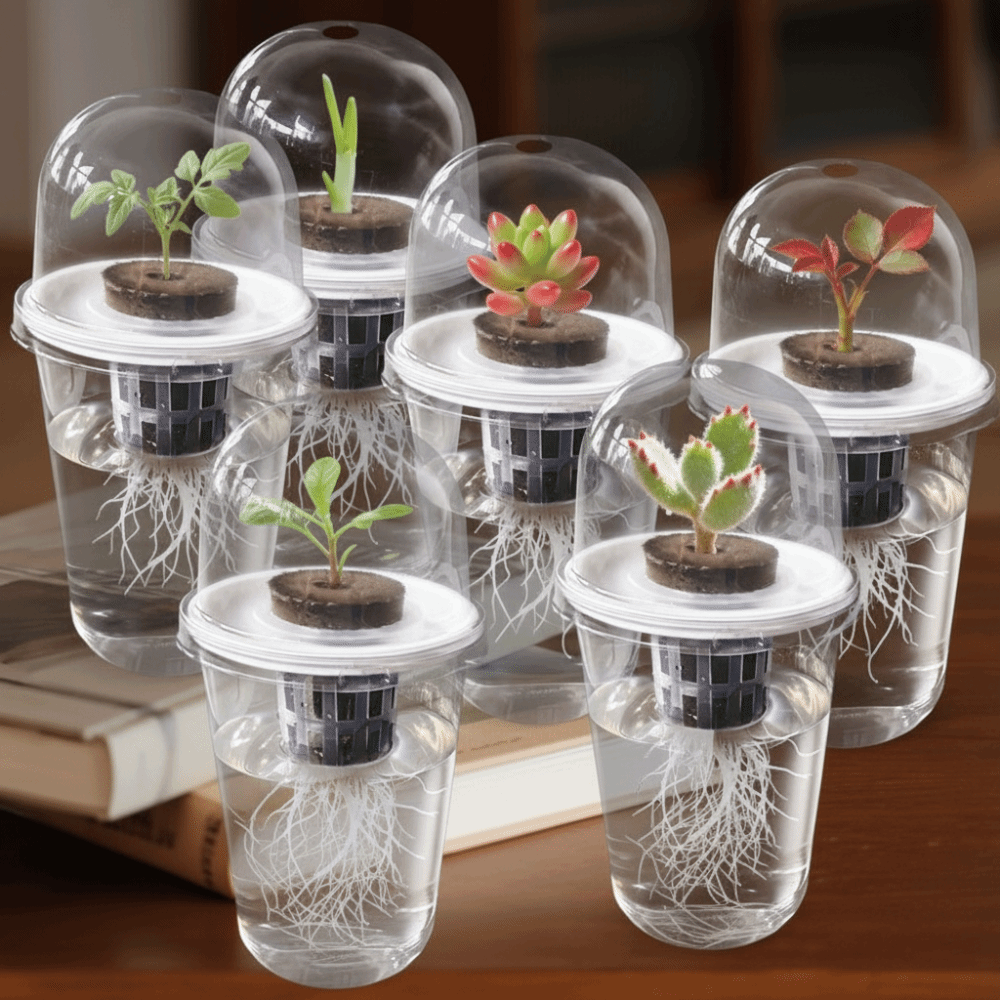 Net Pot 3 Inch - 1-5 قطع أكواب شفافة لنمو النباتات،