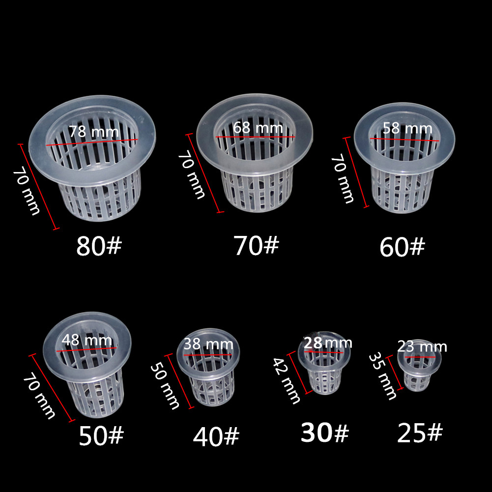 10 قطعة أكواب شبكية للزراعة ال - مراجعة Net Pot 3 Inch وسعره