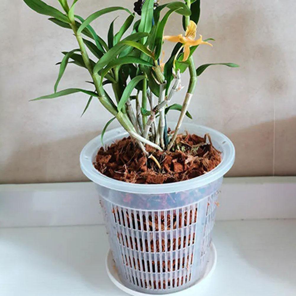 وعاء شبكي شفاف للتحكم في الجذو - مراجعة Net Pot 3 Inch وسعره